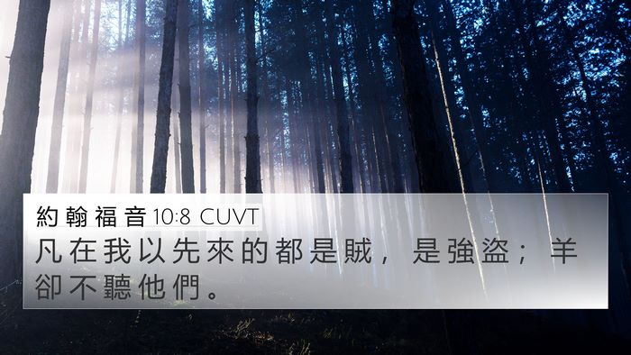約 翰 福 音 10:8 CUVT Bible Verse Image