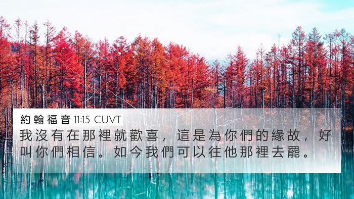 約 翰 福 音 11:15 CUVT Bible Verse Image
