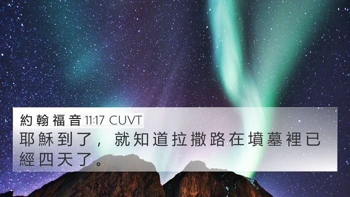 約 翰 福 音 11:17 CUVT 4K Wallpaper - 耶 穌 到 了 ， 就 知 道 拉 撒 路 在 - 4K Wallpaper Bible Verse