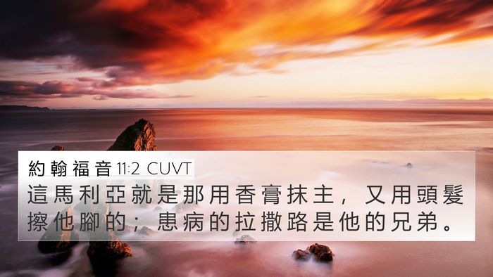 約 翰 福 音 11:2 CUVT Bible Verse Image