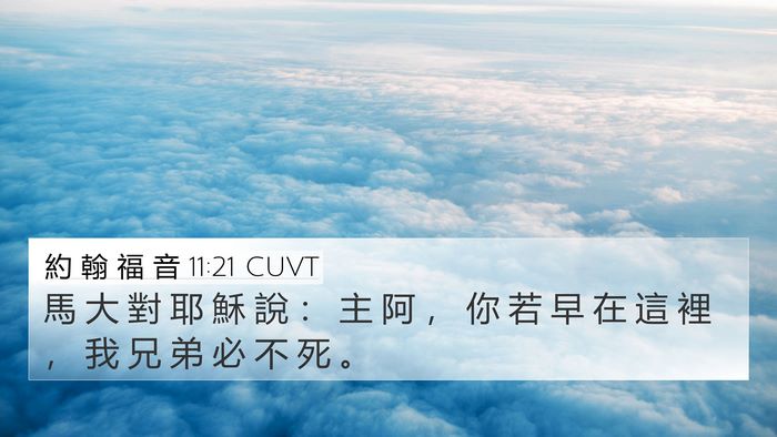 約 翰 福 音 11:21 CUVT Bible Verse Image