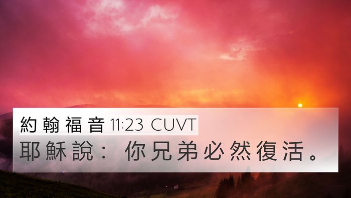 約 翰 福 音 11:23 CUVT Bible Verse Image