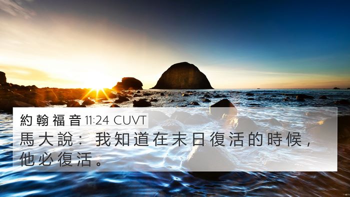 約 翰 福 音 11:24 CUVT Bible Verse Image