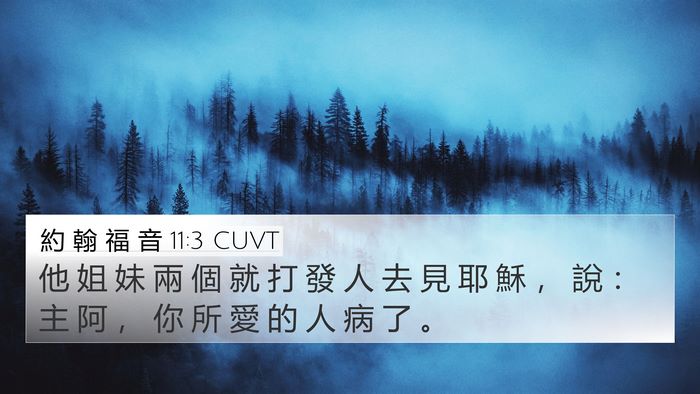 約 翰 福 音 11:3 CUVT Bible Verse Image