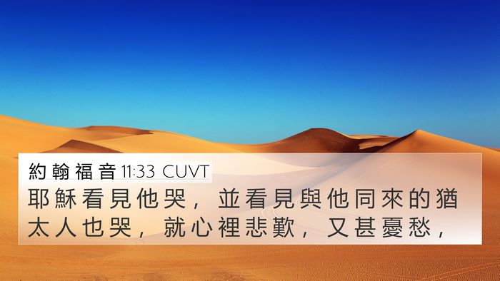 約 翰 福 音 11:33 CUVT Bible Verse Image