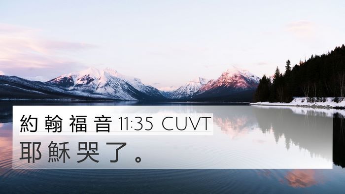 約 翰 福 音 11:35 CUVT Bible Verse Image