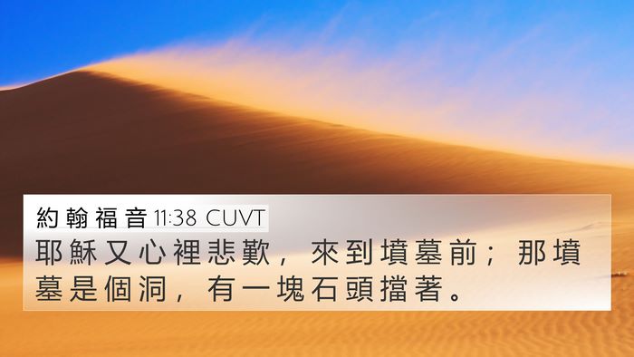 約 翰 福 音 11:38 CUVT Bible Verse Image