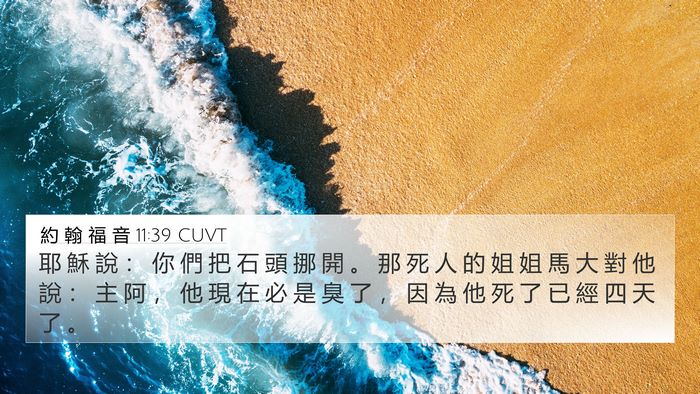 約 翰 福 音 11:39 CUVT Bible Verse Image