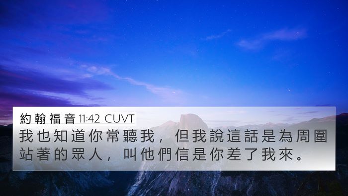 約 翰 福 音 11:42 CUVT Bible Verse Image