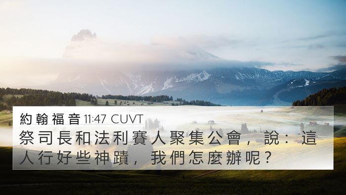 約 翰 福 音 11:47 CUVT Bible Verse Image