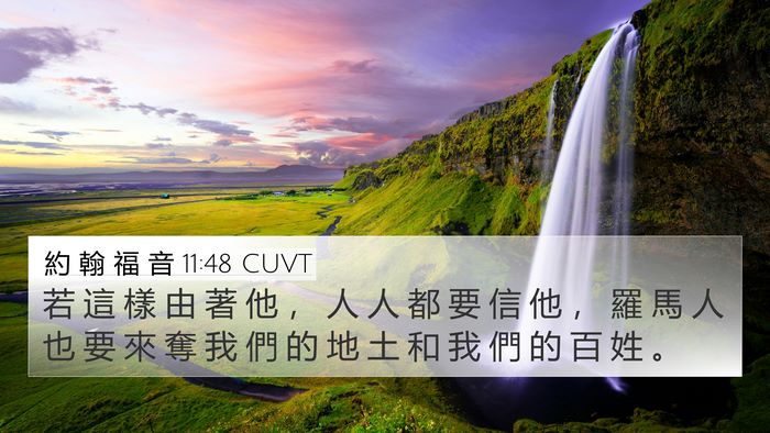 約 翰 福 音 11:48 CUVT Bible Verse Image