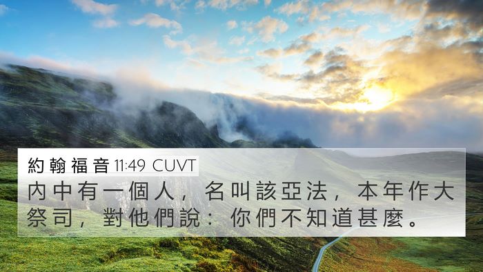 約 翰 福 音 11:49 CUVT Bible Verse Image