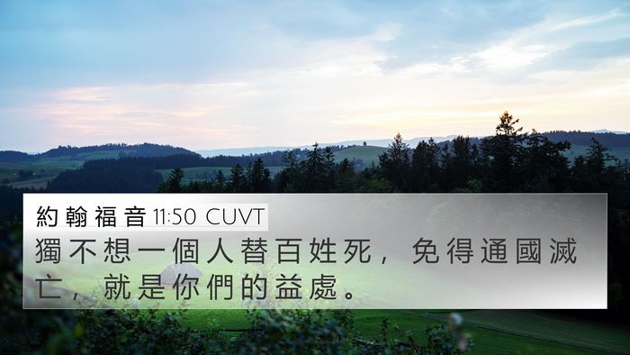約 翰 福 音 11:50 CUVT Bible Verse Image