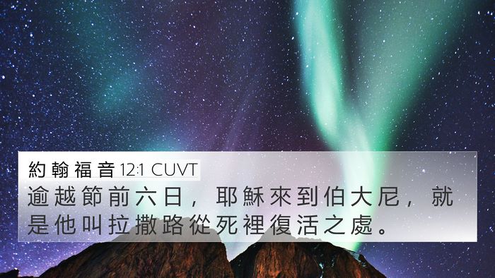 約 翰 福 音 12:1 CUVT Bible Verse Image