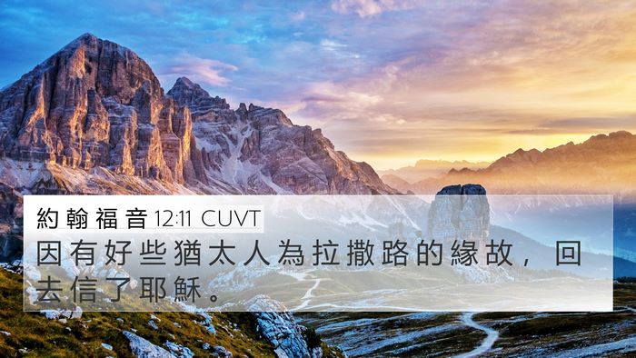 約 翰 福 音 12:11 CUVT 4K Wallpaper - 因 有 好 些 猶 太 人 為 拉 撒 路 的 - 4K Wallpaper Bible Verse