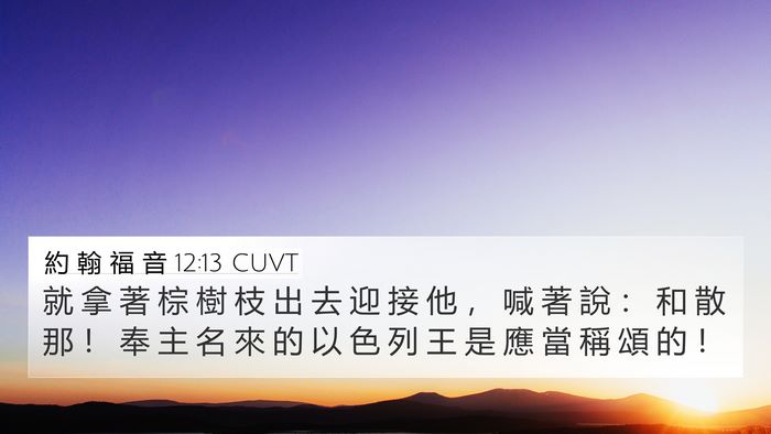 約 翰 福 音 12:13 CUVT Bible Verse Image