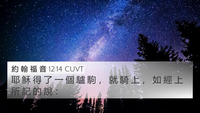 約 翰 福 音 12:14 CUVT Bible Verse Image