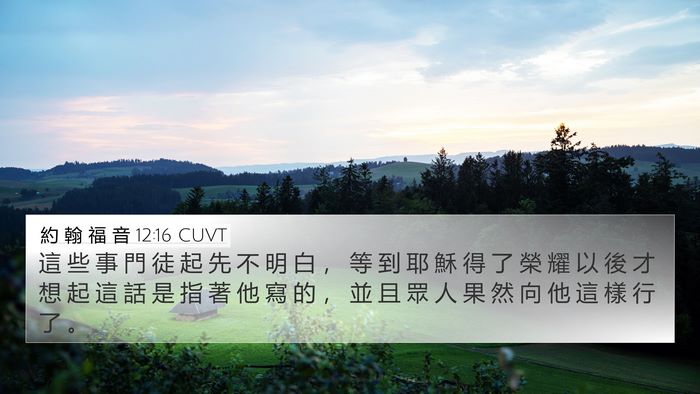 約 翰 福 音 12:16 CUVT Bible Verse Image