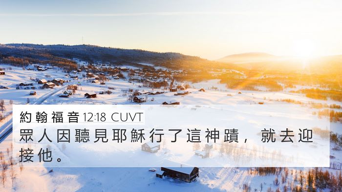 約 翰 福 音 12:18 CUVT Bible Verse Image