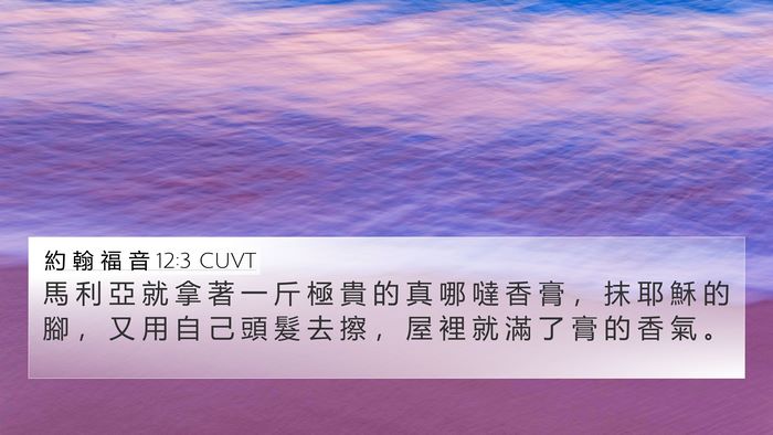約 翰 福 音 12:3 CUVT Bible Verse Image