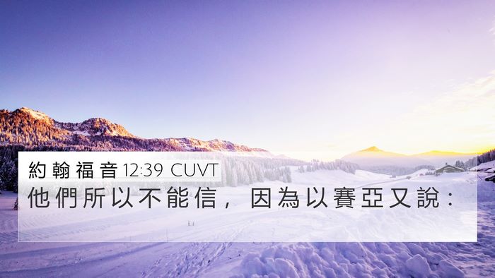 約 翰 福 音 12:39 CUVT Bible Verse Image
