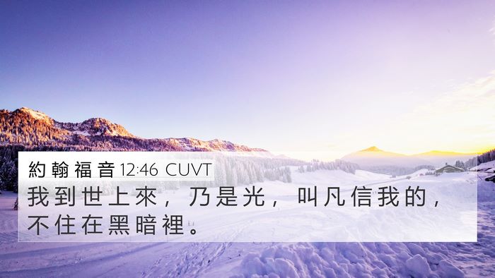 約 翰 福 音 12:46 CUVT Bible Verse Image