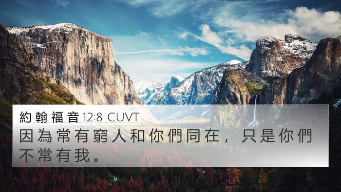 約 翰 福 音 12:8 CUVT Bible Verse Image
