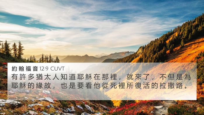 約 翰 福 音 12:9 CUVT Bible Verse Image
