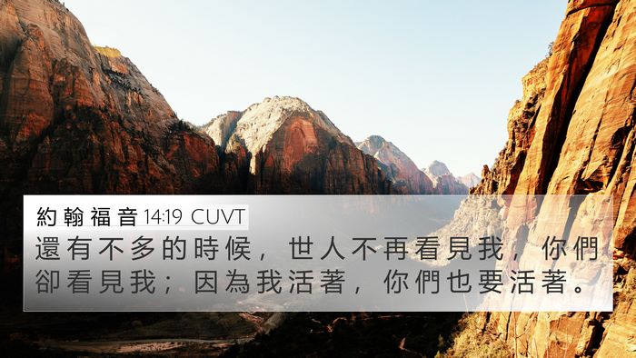 約 翰 福 音 14:19 CUVT Bible Verse Image