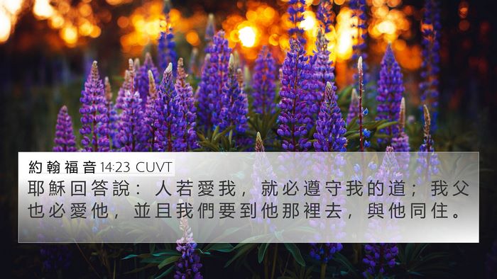 約 翰 福 音 14:23 CUVT Bible Verse Image