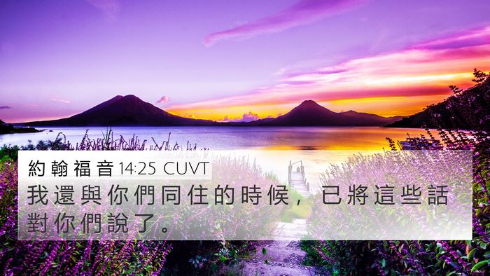 約 翰 福 音 14:25 CUVT 4K Wallpaper - 我 還 與 你 們 同 住 的 時 候 ， 已 - 4K Wallpaper Bible Verse