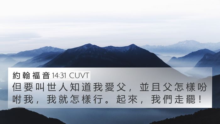 約 翰 福 音 14:31 CUVT Bible Verse Image