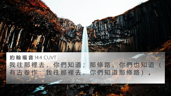 約 翰 福 音 14:4 CUVT 4K Wallpaper - 我 往 那 裡 去 ， 你 們 知 道 ； 那 - 4K Wallpaper Bible Verse
