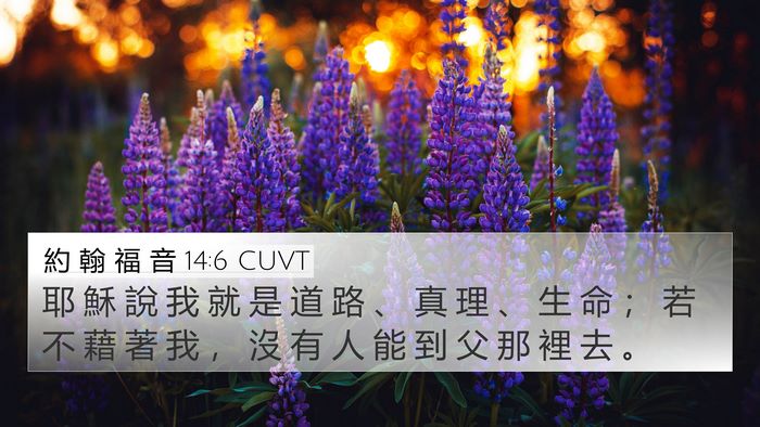 約 翰 福 音 14:6 CUVT Bible Verse Image