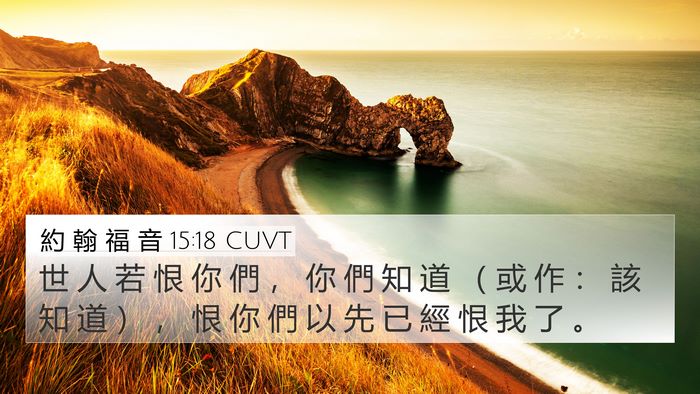 約 翰 福 音 15:18 CUVT Bible Verse Image
