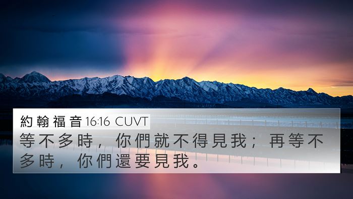 約 翰 福 音 16:16 CUVT Bible Verse Image