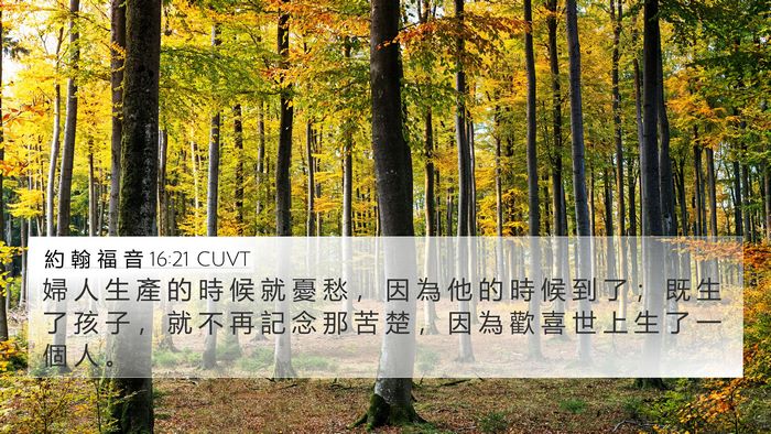 約 翰 福 音 16:21 CUVT Bible Verse Image