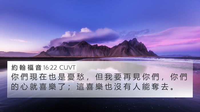 約 翰 福 音 16:22 CUVT Bible Verse Image