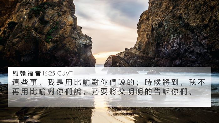約 翰 福 音 16:25 CUVT Bible Verse Image