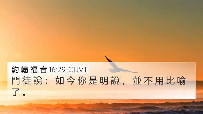約 翰 福 音 16:29 CUVT Bible Verse Image