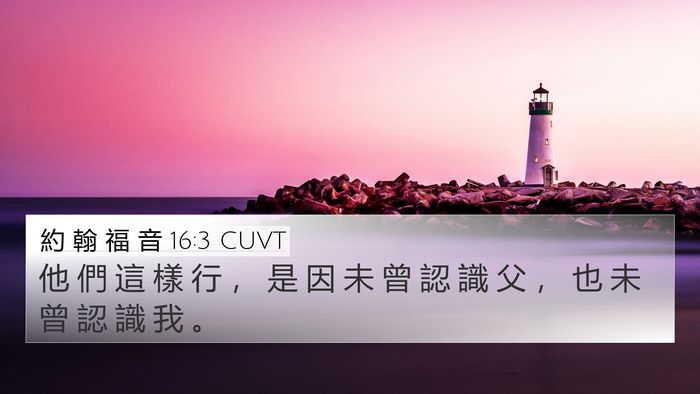 約 翰 福 音 16:3 CUVT Bible Verse Image