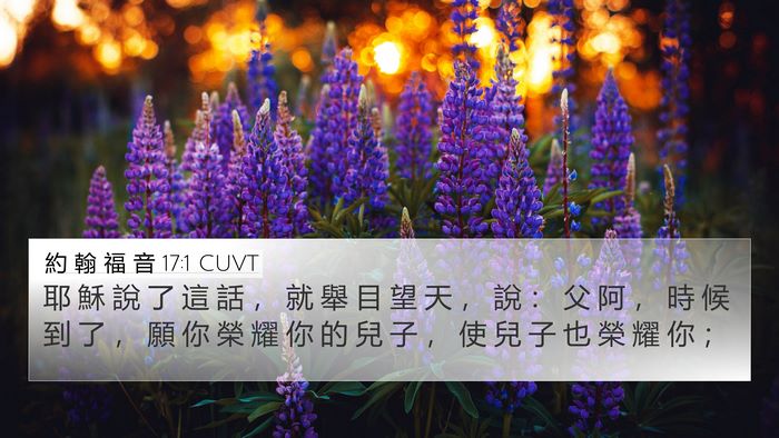 約 翰 福 音 17:1 CUVT Bible Verse Image