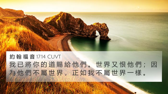約 翰 福 音 17:14 CUVT Bible Verse Image