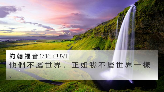 約 翰 福 音 17:16 CUVT Bible Verse Image