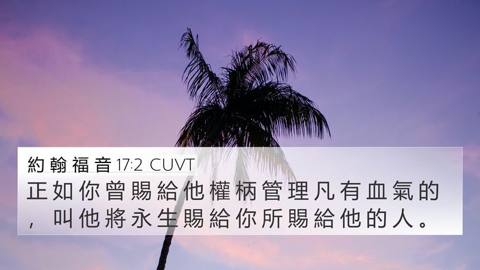 約 翰 福 音 17:2 CUVT Bible Verse Image