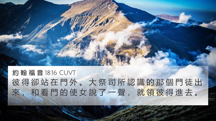 約 翰 福 音 18:16 CUVT Bible Verse Image