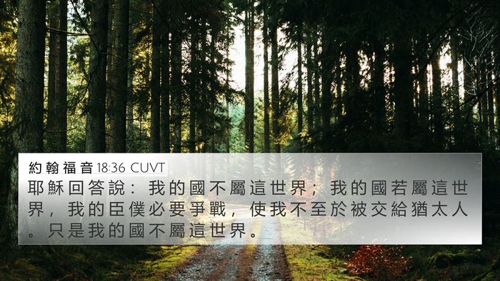 約 翰 福 音 18:36 CUVT Bible Verse Image
