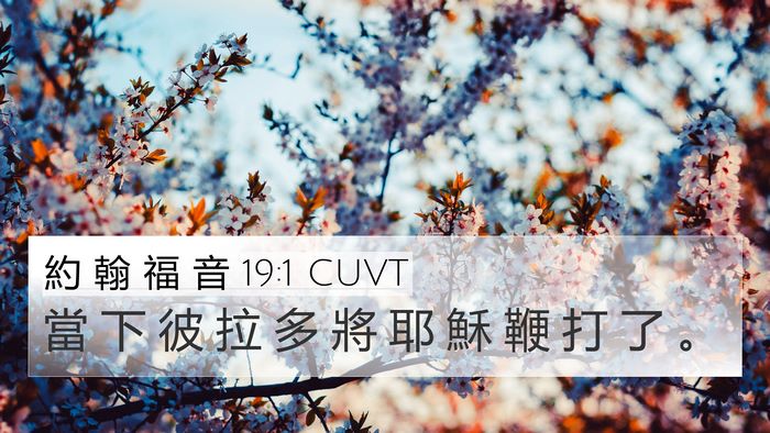 約 翰 福 音 19:1 CUVT Bible Verse Image