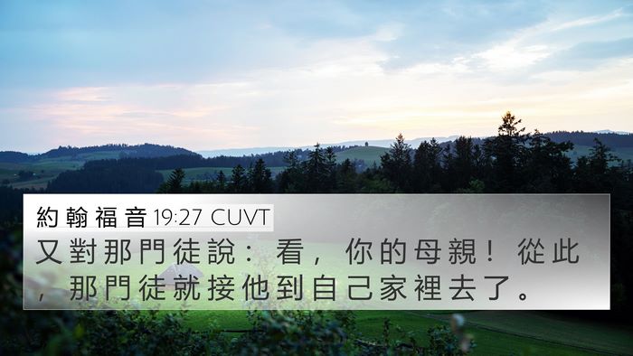 約 翰 福 音 19:27 CUVT Bible Verse Image