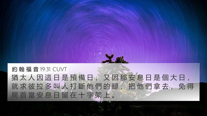 約 翰 福 音 19:31 CUVT Bible Verse Image